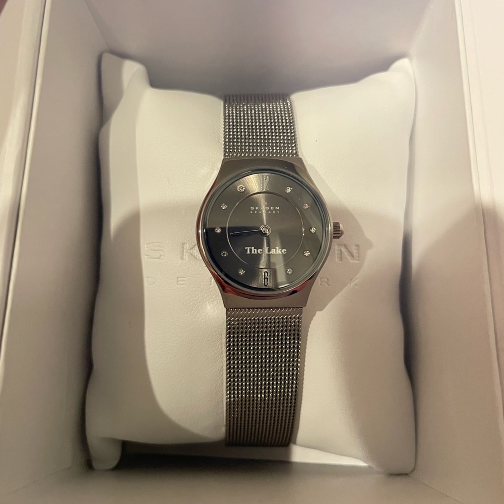 Skagen mesh watch